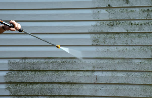 Why Choose Our Certified Pressure Washing Experts for Your Project Needs in Newbern, TN?